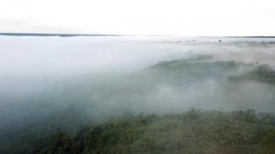 Photo 3. La forêt maintient l’humidité de l’atmosphère en Amazonie, comme le montre cette mer de nuage, à l’aube, au-dessus d’une vallée de Paragominas. Restaurer des forêts dans les fonds de vallée pour maximiser l’injection d’humidité dans l’atmosphère aide à réduire les risques d’incendies de saison sèche.